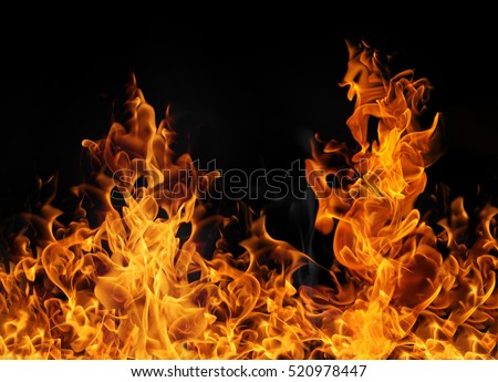 Fire flames on black background Royalty-Free Stock Photo #520978447
