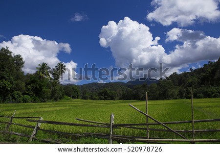 Field crops, natural pastures, fresh air of the countryside.