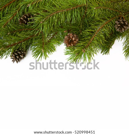 Christmas background. Greeting card. Christmas tree branches border on a white background. Fir tree. Fresh green pine branches with cones, closeup, top view