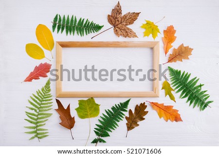 Autumn composition of colorful leaves and picture frame on white wooden background. Top view, flat lay, copy space. Thanksgiving day concept.