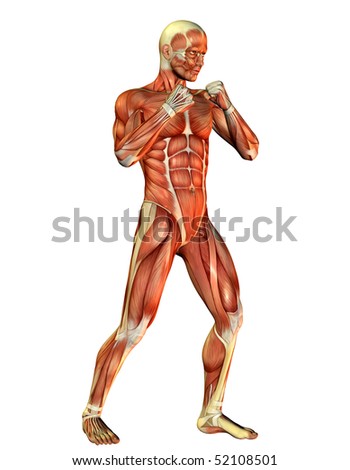 Muscular man standing