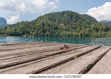 Photo shows a landscape of lake Bled, Slovenia in summer.