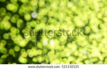 Abstract bokeh lights on background