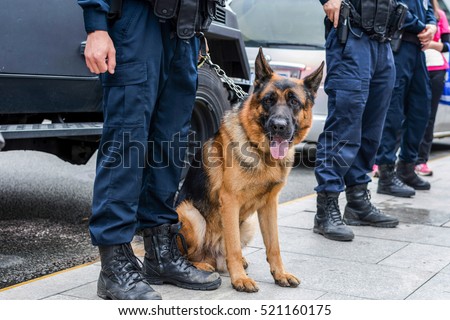 Brown police dog-German shepherd with armed police on duty Royalty-Free Stock Photo #521160175