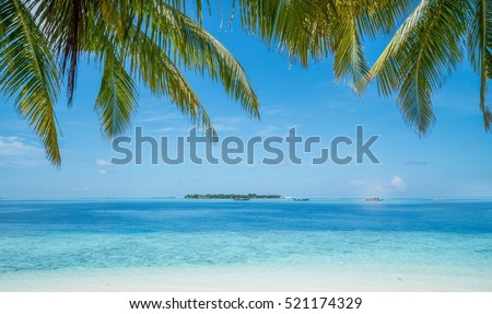 Beach with trees in foreground