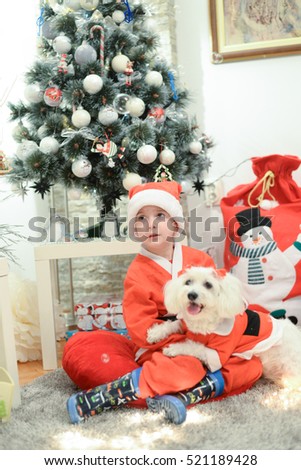 Boy and dog dressed as Santa Claus playing beside Christmas tree