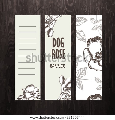 Vector hand-drawn template banner with wild dog rose.Brier. Eglantine. Design for cosmetics, store, beauty salon, natural and organic products. Can be used like a greeting card. With place for text