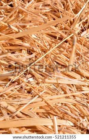 Photo picture Background of The natural texture dry straw