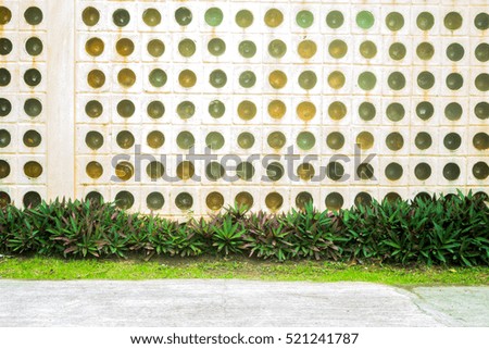 the old wall was covered with plants can use for the background