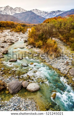 Autumn Landscape with Stream, Snow and Colorful Foliage on the Mountain in Hakuba, Nagano, Japan, Selective focus on the front rock