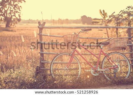 beautiful landscape image with Bicycle at summer grass field.classic bicycle,old bicycle style for greeting Cards ,post card