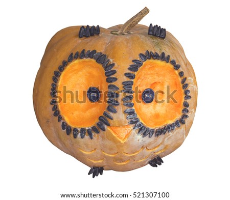 Pumpkin Bird isolated on white background cutout with selective focus. Vintage style.
