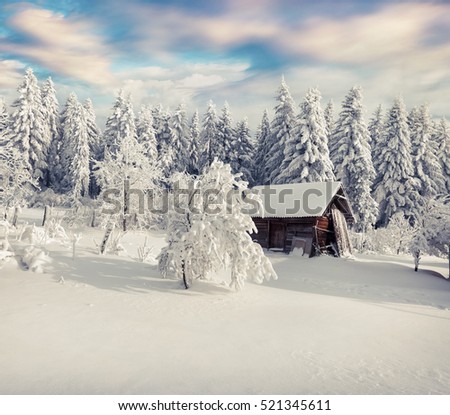 Sunny winter morning in Carpathian village with snow covered trees in garden. Colorful outdoor scene, Happy New Year celebration concept. Artistic style post processed photo.