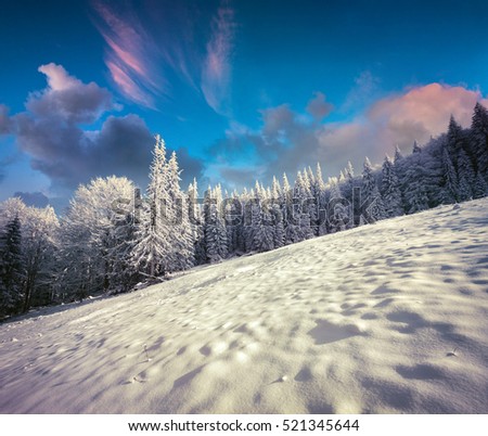 Retro style winter landscape in Carpathian mountains with snow covered fir trees. Bright outdoor scene, Happy New Year celebration concept. Artistic style post processed photo.
