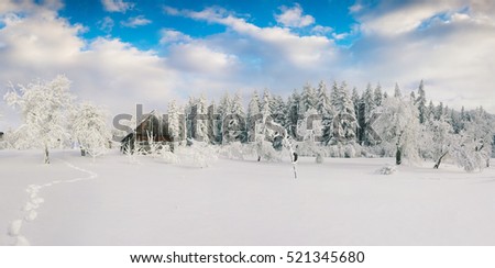 Misty winter morning in Carpathian village with snow covered trees in garden. Beautiful outdoor scene, Happy New Year celebration concept. Artistic style post processed photo.