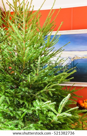 Christmas tree in the room with a painting winter on the red wall.