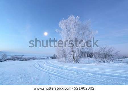 Christmas morning with moon in sky. White tree with hoarfrost on snowy field.