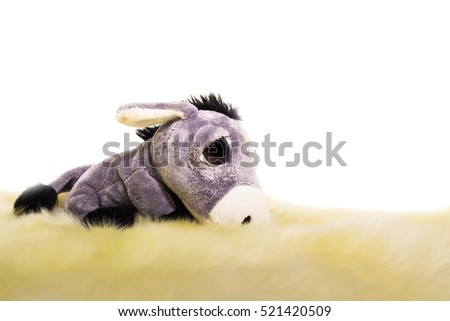 Cuddly toy Donkey isolated on white
