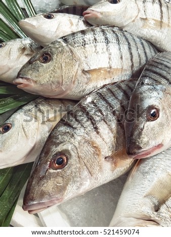 Closeup of fresh sea bream fish sell in the market.