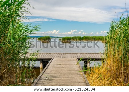 a wooden pier surrounded by reed on neusiedlersee in Austria. Royalty-Free Stock Photo #521524534