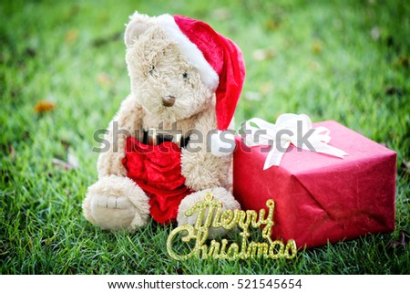 Teddy bear and gift boxes on the lawn in concept of giving gifts in Festival and Event of Christmas Day.