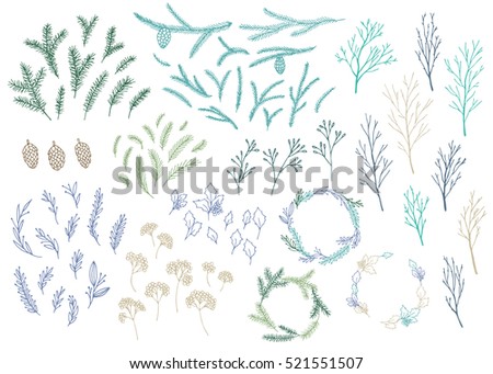 Vector hand drawn big collection of christmas plants and branches. Elegant design elements.