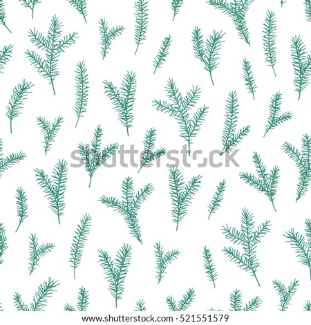 Vector hand drawn elegant minimalist spruce