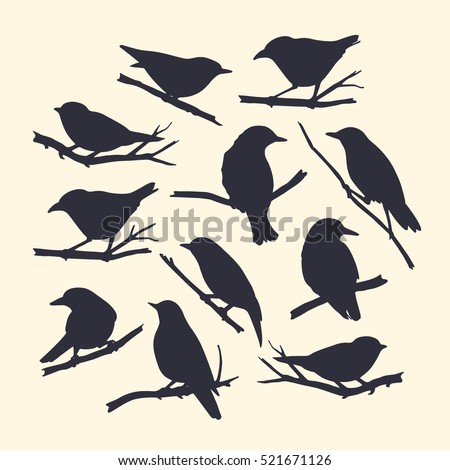 Vector graphic set of hand drawn birds sitting on branches. Dark silhouettes on light background.