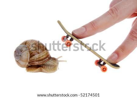 Snail and skateboard for your fingers on the white background