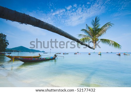 palm and longtail boats on tropical beach. Ko Tao island, Thailand