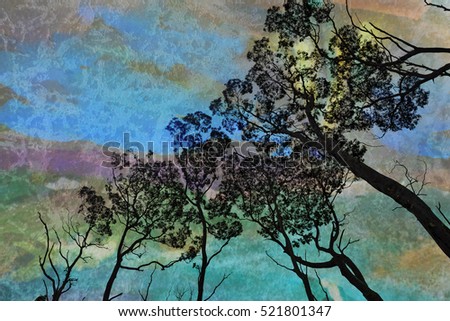 Canopy of tall gum trees (Eucalyptus) contrasted against an aurora like evening sky. Digitally textured composite image.