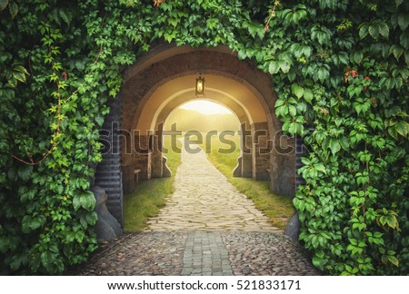 Mysterious gate sunny entrance.  New life or beginning concept Royalty-Free Stock Photo #521833171