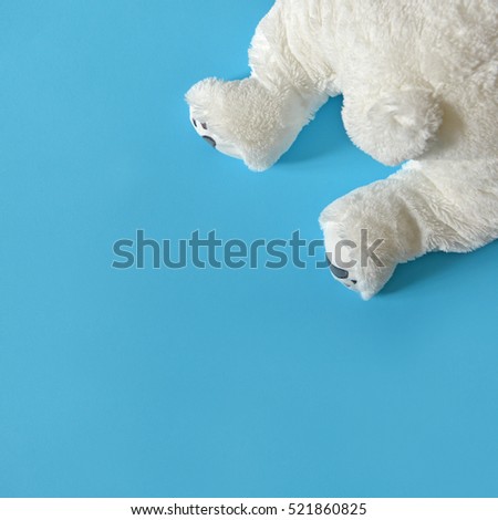 Cute fluffy bear legs peaking from corner on white background - Top view