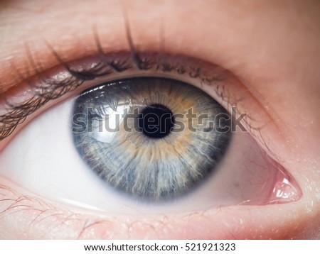 Human eye close-up detail