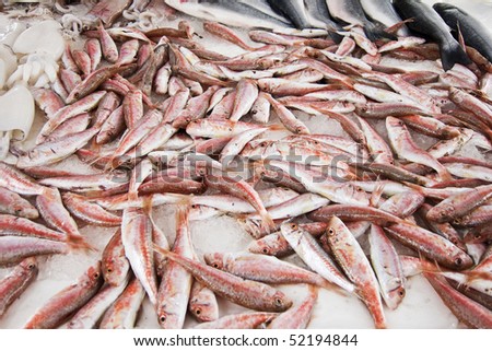 Fishes at a market desk