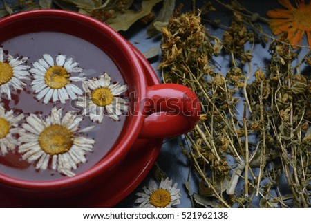 beautiful composition: Herbal tea with chamomile in a red circle, and medicinal herbs, medicine, health, immunity, drink