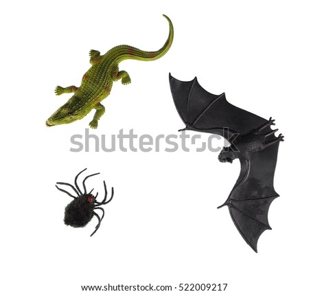 bats, spider, crocodile
