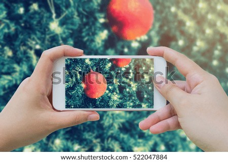 Female using mobile smart phone Taking photo of Christmas decoration on tree with bokeh light background
