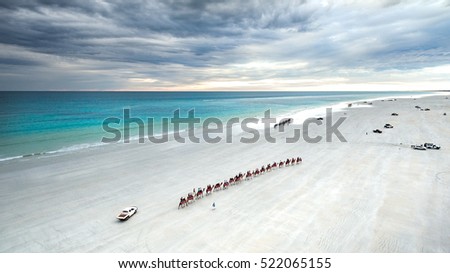 Cable Beach, Broome. Kimberley, Western Australia. Camels on the shore at sunset. Royalty-Free Stock Photo #522065155