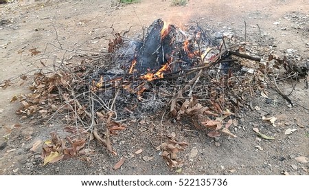 Dried twigs and dried leaves were burned