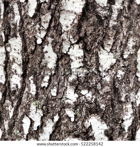 Seamless texture of birch bark in HDR mode for game design