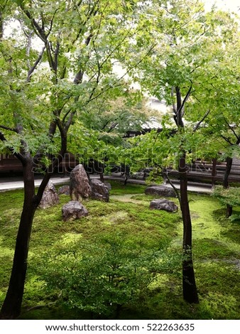 Green garden in Kyoto, Japan