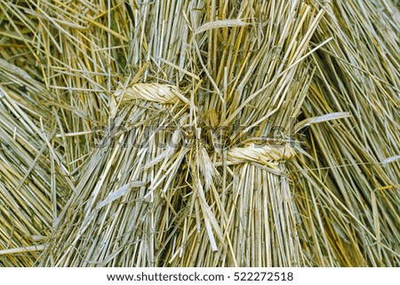 Background or texture of dry straw