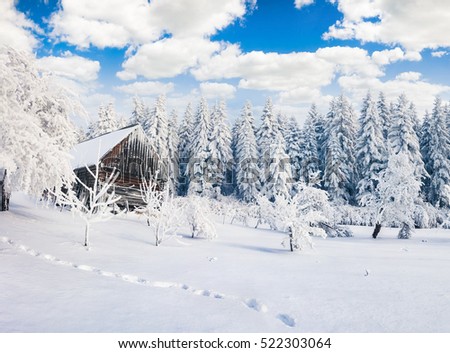 Misty winter morning in Carpathian village with snow covered trees in garden. Beautiful outdoor scene, Happy New Year celebration concept. Artistic style post processed photo.