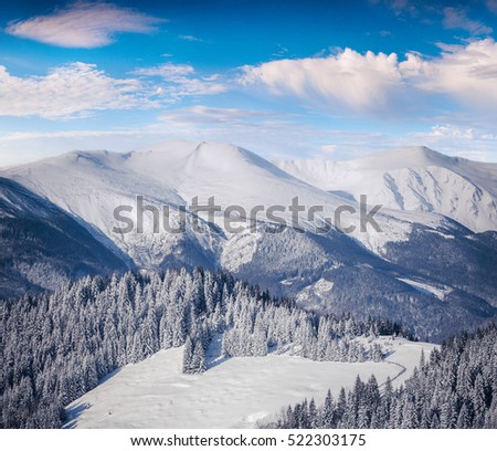Sunny winter morning in Carpathian mountains. Colorful outdoor scene, Happy New Year celebration concept. Artistic style post processed photo.