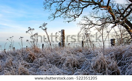 Harmony Winter Landscape, Snow on Tree and Grass, Scottish Highlands, United Kingdom