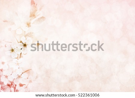 Spring blossom, selective focus, shallow DOF, toned, light and heart bokeh background, pastel and soft card