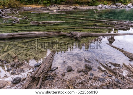 Dead trees laying in clear water of a glacier lake. Picture taken in Garibaldi, BC, Canada.