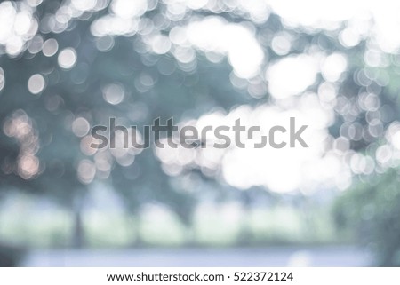 Nature blurred light abstract background / Natural outdoors bokeh background, Blurred forest background