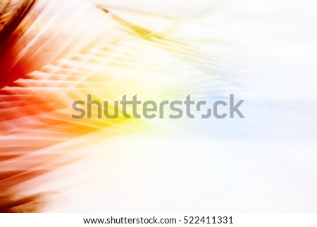 Abstract tropical palm tree in motion against sunlight background. Dynamic nature pattern, blurred leaves in rainbow colors moving in wind on beach Miami Florida, travel business blog, image filtered